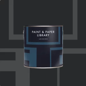 Paint & Paper ILEX