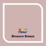Blossom Breeze Flexa kleur