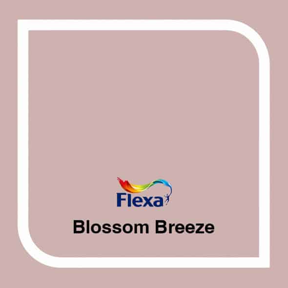 Blossom Breeze Flexa kleur