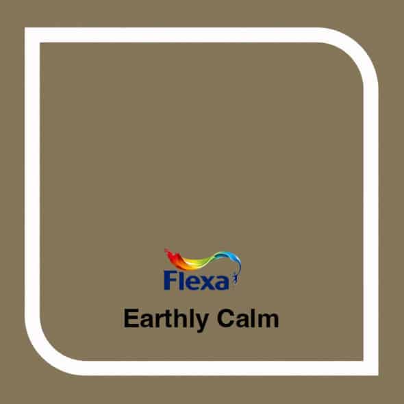 Earthly Calm Flexa kleur
