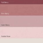 Flexa Pure Kleurstaal Collectie Berry overzicht