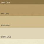 Flexa Pure Kleurstaal Collectie Olive overzicht