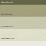 Flexa Pure Kleurstaal Collectie Pistache overzicht