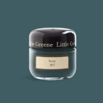 Rome Little Greene sample pot