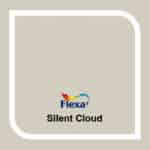 Silent Cloud Flexa kleur