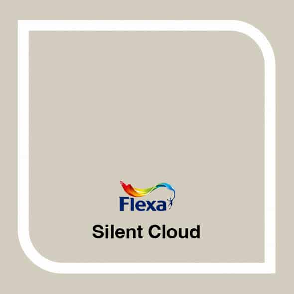 Silent Cloud Flexa kleur