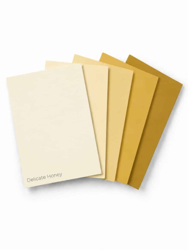 Flexa Pure Kleurstaal Collectie Honey